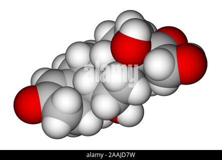 L'espace de cortisol-modèle moléculaire de remplissage Banque D'Images