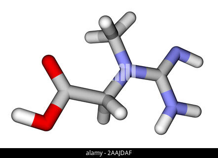 La créatine structure moléculaire 3D Banque D'Images