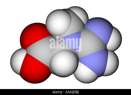La créatine structure moléculaire 3D Banque D'Images