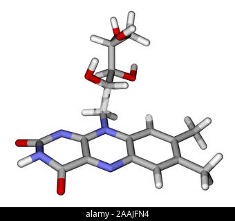 La riboflavine bois modèle moléculaire Banque D'Images