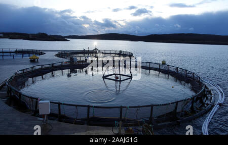 Près de l'élevage du saumon, la Norvège Bronnoysund Banque D'Images