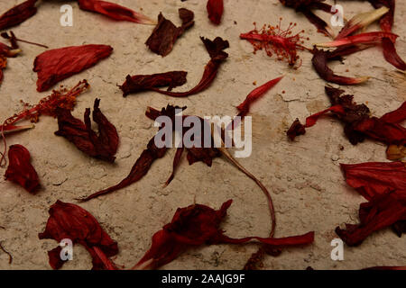 La Jamaïque pour herbes et fleurs d'hibiscus sur fond de bois Banque D'Images