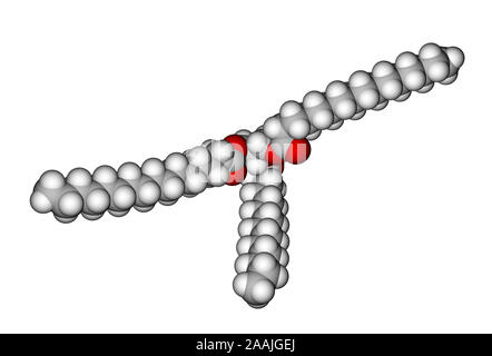 La structure moléculaire des triglycérides Banque D'Images