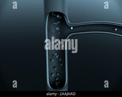 Artère et les érythrocytes, vaisseaux sanguins, artère indiquée avec un pain sur l'article, la contraction des vaisseaux sanguins, l'adrénaline à des vaisseaux sanguins, à l'hormone Banque D'Images