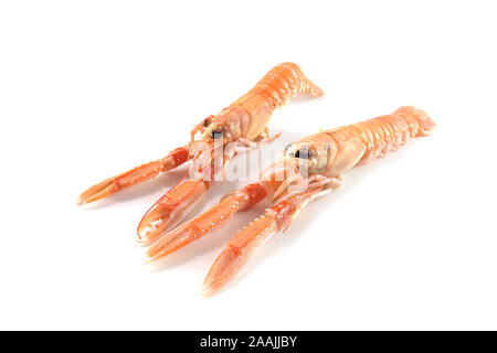 Deux nouvelles de Langoustine Langoustine Langoustine ou aussi appelé, la mer coûteux isolé sur un fond blanc, copie, espace de discussion sélectionné Banque D'Images