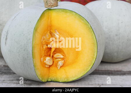 Cucurbita maxima 'Prince'. Peau bleu fraîchement récoltés, le Prince squash, tranchées pour révéler la chair vibrante. Banque D'Images