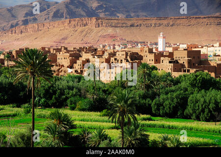 L'oasis avec le kasbah Tinerhir gorges du Todra dans l'horizon. Maroc Banque D'Images