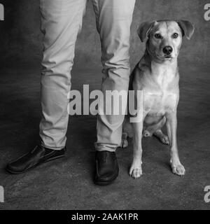 Homme debout à côté du chien Banque D'Images