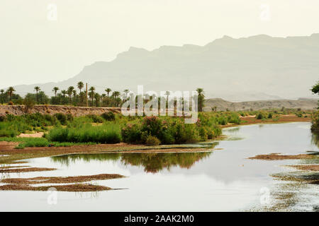 Fleuve Draa au sud du Maroc. Banque D'Images