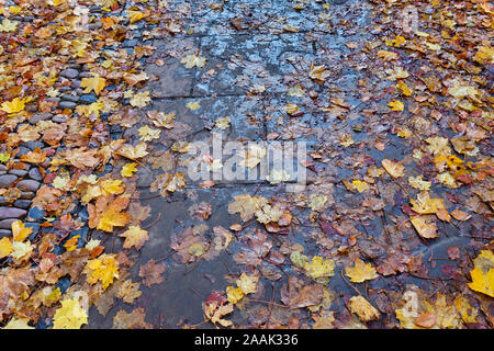 Les feuilles d'automne dans l'enceinte du Collège, Worcester, Worcestershire Banque D'Images