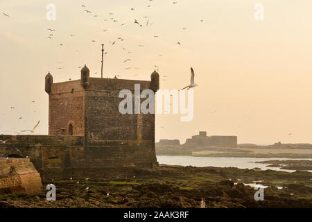 Le 18ème siècle, bastion du sud Skala du port, au crépuscule. Site du patrimoine mondial de l'Unesco, Essaouira. Maroc Banque D'Images