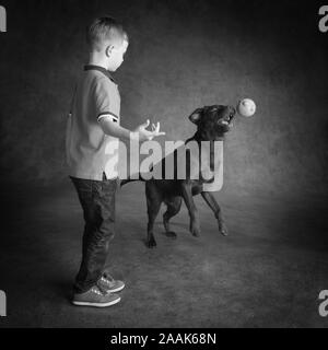 Garçon et du Labrador Chocolat Playing with ball Banque D'Images