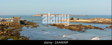 Les îles de Mogador, l'ancienne Iles Purpuraires en face de Essaouira, où les Romains et les Phéniciens ont traité les murex et coquilles trouvées dans le purpura Banque D'Images