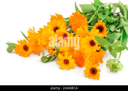 Bouquet de fleurs de calendula orange isolé sur fond blanc Banque D'Images