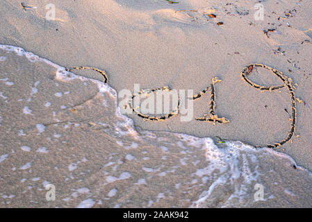 Une vague efface l'inscription sur le sable de 2019, 2019 se termine, conceptual image Banque D'Images