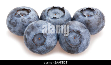 Chemin des bleuets isolated on white Banque D'Images