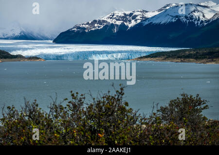 Le glacier Perito Moreno, le Parc National Los Glacieres, Argentine.