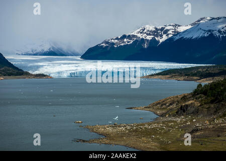 Le glacier Perito Moreno, le Parc National Los Glacieres, Argentine.