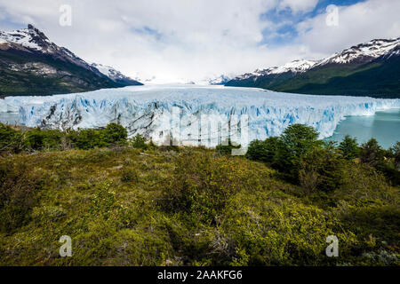 Le glacier Perito Moreno, le Parc National Los Glacieres, Argentine.