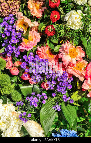 Fête joyeuse lumineuse multicolore floral background de pivoines blanches, roses roses, purple asters et bleu Hortensia à feuilles vertes. Sentiment, expres Banque D'Images