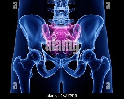 Sacrum, illustration de l'ordinateur. Banque D'Images