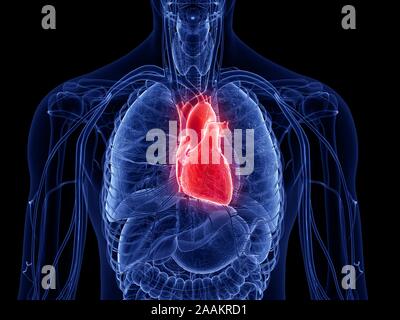 Coeur de l'homme, l'illustration de l'ordinateur. Banque D'Images
