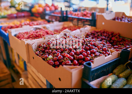 Sweet Cherry sur un marché à la ferme dans la ville. Des fruits et des légumes à un marché de producteurs. Boîtes et plateaux en cerises Banque D'Images