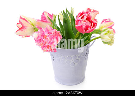 Tulipes fleurs décoratives en seau isolé sur fond blanc Banque D'Images