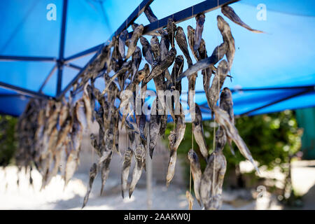 Le poisson séché sur la corde au calage sur le marché d'été pour la vente. Les fruits de mer salée. Concept de pêche. Banque D'Images