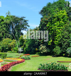 Magnifique parc tropical avec des fleurs, pelouses et arbres Banque D'Images