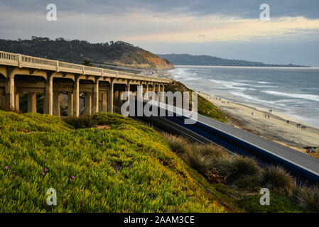 Locomotive diesel de voyageurs Amtrak circulant le long des voies de chemin de fer côtière sous le pont, Torrey Pines State Park à l'arrière, La Jolla, Californie, USA Banque D'Images