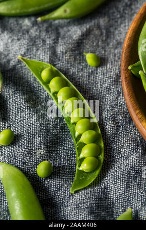 Matières organiques vert pois sugar snap dans un groupe Banque D'Images