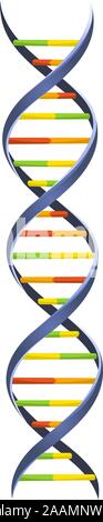 La chaîne de l'ADN chromosomique de sang Modèle Helix structure spirale moléculaire Sciences illustration vectorielle. Illustration de Vecteur