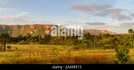 Chapada paysage, plateaux formés avec des lits horizontaux de grès. Bahia, Brésil, Amérique du Sud. Banque D'Images