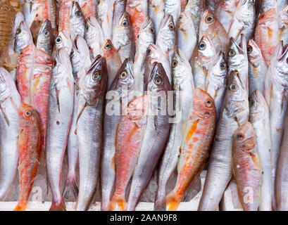 Les poissons exposés à Medterranean seamarket ouvert, Naples Banque D'Images