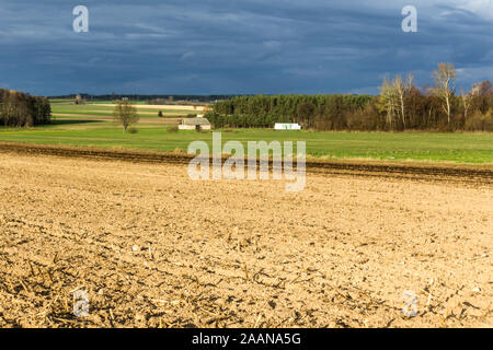 La fin de l'automne. Grand champ labouré. Meadows, une grange abandonnée et forêt en arrière-plan.ferme laitière. Podlasie, Pologne. Banque D'Images