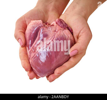 La viande crue, le coeur dans les mains sur fond blanc isolé Banque D'Images