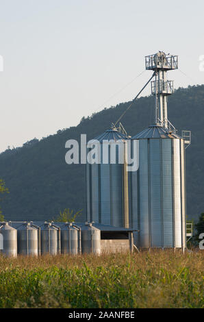 Silo pour maintenir l'alimentation animale Banque D'Images