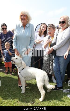 La duchesse de Cornouailles au cours d'une visite au marché des producteurs de Lincoln à Christchurch, le septième jour de la visite royale de Nouvelle-Zélande. PA Photo. Photo date : Samedi 23 Novembre, 2019. Voir PA story ROYALS Charles. Crédit photo doit se lire : Chris Jackson/PA Wire Banque D'Images