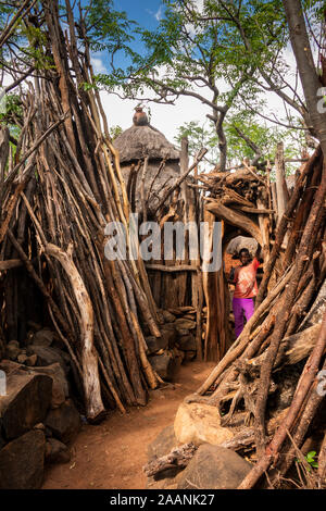 Carat-Konso Gamole l'Éthiopie,, village fortifié, jeune homme de porte par des piles de bois à l'extérieur composé de la chambre Banque D'Images