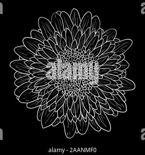 Beau dessin monochrome, noir et blanc fleur dahlia isolés. Illustration de Vecteur