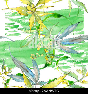 Le Cannabis feuilles vertes. Jardin botanique des plantes feuilles feuillage floral. Illustration à l'aquarelle. Aquarelle Dessin aquarelle de mode. Zone transparente Banque D'Images