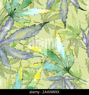 Le Cannabis feuilles vertes. Jardin botanique des plantes feuilles feuillage floral. Illustration à l'aquarelle. Aquarelle Dessin aquarelle de mode. Zone transparente Banque D'Images