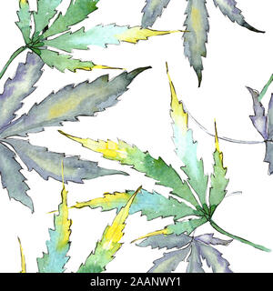 Le Cannabis feuilles vertes. Jardin botanique des plantes feuilles feuillage floral. Illustration à l'aquarelle. Aquarelle Dessin aquarelle de mode. Zone transparente Banque D'Images