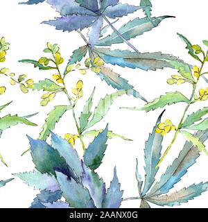 Le Cannabis feuilles vertes. Jardin botanique des plantes feuilles feuillage floral. Illustration à l'aquarelle. Aquarelle Dessin aquarelle de mode. Zone transparente Banque D'Images