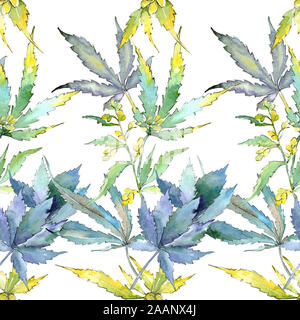 Le Cannabis feuilles vertes. Jardin botanique des plantes feuilles feuillage floral. Illustration à l'aquarelle. Aquarelle Dessin aquarelle de mode. Zone transparente Banque D'Images