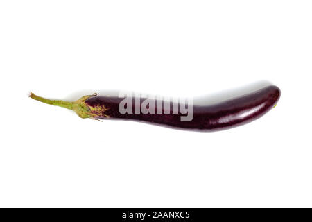 Ou aubergine brinjal, espèces végétales de la famille des solanacées. Banque D'Images