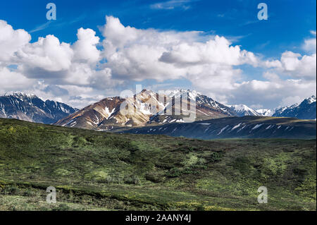 De l'Alaska, Denali National Park, Alaska, USA. Banque D'Images