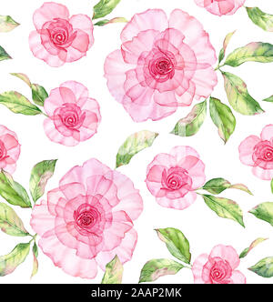 L'aquarelle transparente rose. Motif florale. La main isolé avec de grandes fleurs illustration détaillée et feuilles tendres au papier peint Banque D'Images