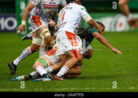 Treviso, Italie. 23 Nov, 2019. Lewis ludlam (northampton) lors de Benetton Treviso vs Northampton Saints, Rugby Heineken Cup Champions à Trévise, en Italie, le 23 novembre 2019 : Crédit Photo Agency indépendante/Alamy Live News Banque D'Images